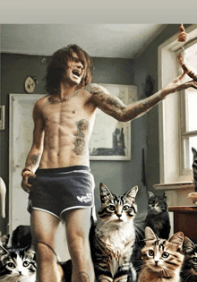 a shirtless man is surrounded by cats wearing shorts that say ' abercrombie ' on them