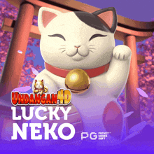 an advertisement for undangan 4d lucky neko with a cat on it