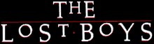 a logo for the lost boys is shown on a dark background