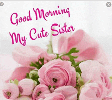 a bouquet of pink roses with the words `` good morning my cute sister '' .