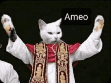 a white cat dressed as a priest is holding up its paws .