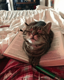 a cat laying on top of a book that says ' the book of chemical knowledge '