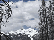 a snowy mountain with trees in the foreground and a cloudy sky