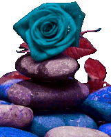 a blue rose is on top of a pile of rocks