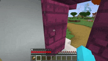 a person is standing in front of a purple door in a minecraft video game .