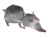 a drawing of a rat with blue eyes and a long nose