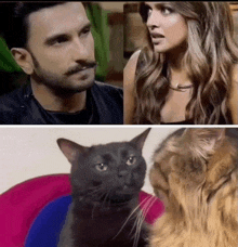 a man and a woman are looking at each other next to a black cat