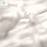 a close up of a person 's face with a tiktok logo in the background