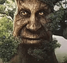 a close up of a tree 's face with a beard surrounded by trees .