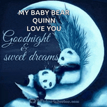 two panda bears sleeping on a crescent moon with the words " my baby bear quinn love you goodnight and sweet dreams "