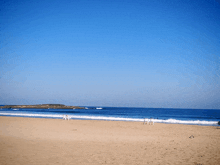 a group of people standing on a sandy beach looking out over the ocean