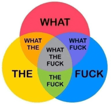 a venn diagram shows what the fuck and what the fuck