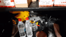 two bottles of water sit next to a yellow dewalt tool