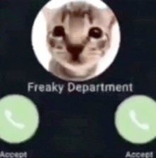 a cat is talking on a cell phone with the words `` freaky department '' written on it .