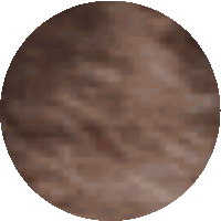 a pixelated image of a brown circle with a white border