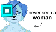 a drawing of a furry animal with the words " never seen a woman " above it
