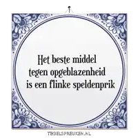 a blue and white tile that says het beste middel tegen opgeblazenheid is een flinke speldenprik