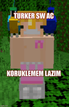 a screenshot of a minecraft character with turker swac on it