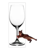 a cat is playing with a wine glass with a white background