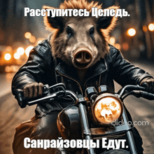 a picture of a pig riding a motorcycle with a caption in a foreign language