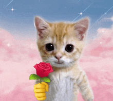 a kitten is holding a red rose in its paw