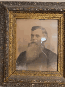 a picture of a man with a beard is in a gold frame