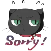 a black cat with green eyes and the words sorry written below it