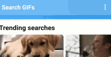 a screen shot of a search for gifs shows a dog and a man