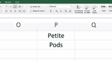 a spreadsheet with the words petite pods written on it