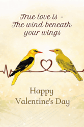 a happy valentine 's day card with two birds on a branch