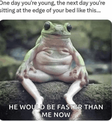 a frog is sitting on a rock with a caption that says he would be faster than me now