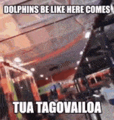 a dolphins be like here comes tua tagovailoa meme