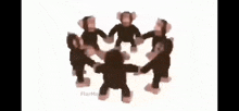 a group of stuffed monkeys are dancing in a circle and holding hands .