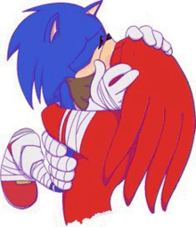 sonic the hedgehog and knuckles the echidna are hugging each other in a cartoon .