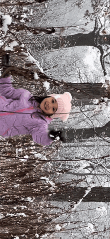 a little girl wearing a pink hat and a purple jacket is standing in the snow