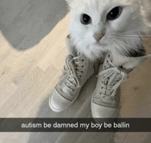 a picture of a cat and a pair of shoes with the caption autism be damned my boy be ballin