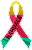 a pink yellow and green ribbon that says " nahuala "