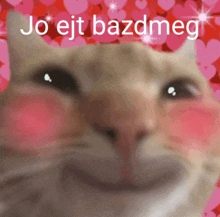 a close up of a cat with the words jo ejt bazdmeg written above it