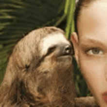 a woman is taking a selfie with a sloth on her head .