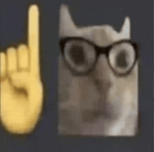 a cat wearing glasses is next to a yellow hand making a rock and roll sign .