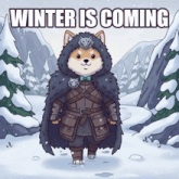 a cartoon of a dog in armor with the words winter is coming behind him