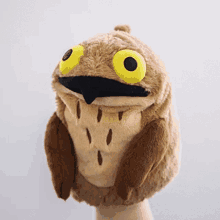 a person is holding a stuffed owl puppet with yellow eyes