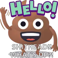 a cartoon illustration of a poop with the words hello shithead what 's up