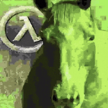 a close up of a horse 's head with a logo in the background .