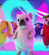 a dog in a banana costume stands next to a strawberry costume dog