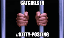 a man 's hands are behind bars in a jail cell with the words `` catgirls in #kitty-posting '' written on the image