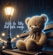 a teddy bear sits on a bench in the rain with the words vola tu titty but falis mange