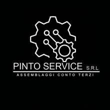 a logo for a company called pinto service s.r.l