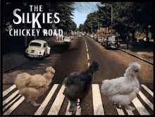 a poster for the silkies chicken road showing chickens crossing a street