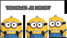 a picture of three minions with the words tichomir je kokot